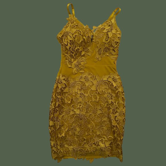 NWT LACE FASHIONNOVA MINI DRESS - Picture 1 of 3